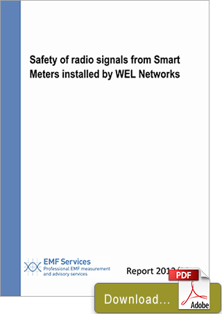 OML-Safety of WELNetwork Large